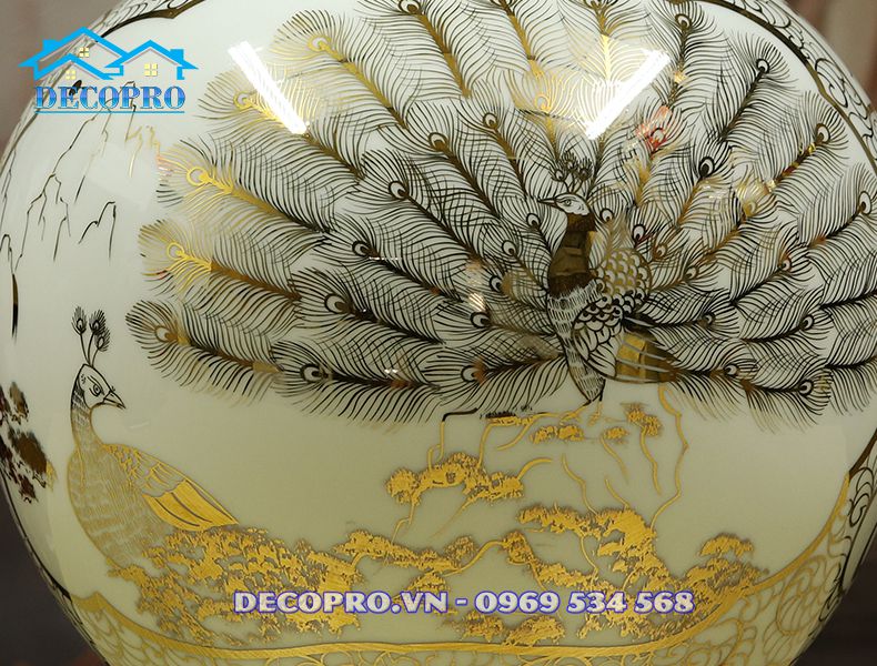 Cận cảnh chim công biểu diễn “điệu múa huyền thoại” khoe bộ lông sặc sỡ