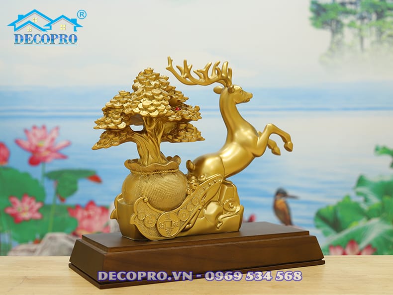Ảnh chụp mặt sau